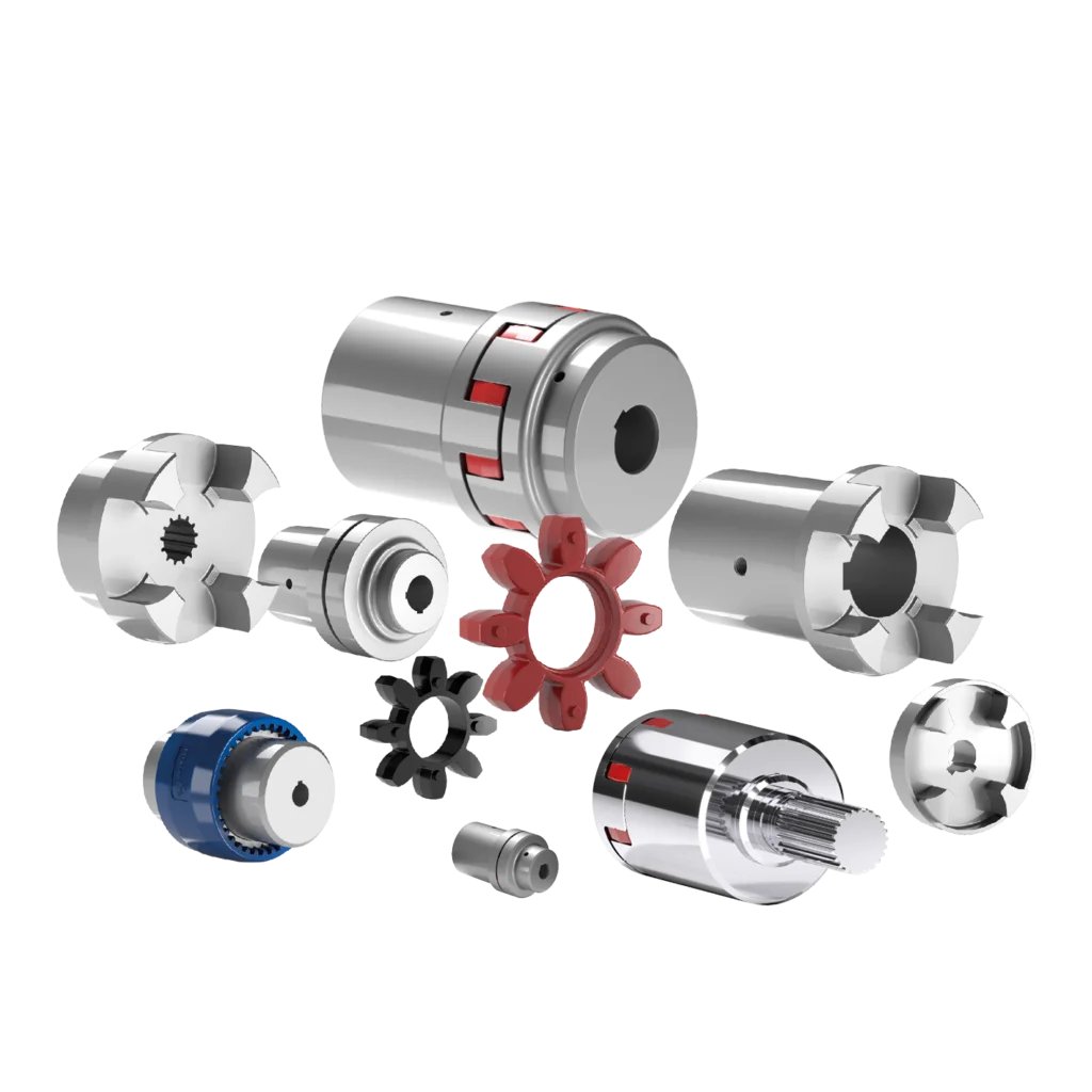 MP Filtri lanterne e giunti Power Transmission per gruppi motore-pompa – TFS Service Partner
